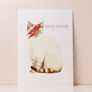 Op de afbeelding: Een witte kat met een rood en blauw bliksemontwerp over &eacute;&eacute;n oog. De kat zit met zijn ogen dicht. De tekst "DAVID MEOWIE" is boven de kat gedrukt.