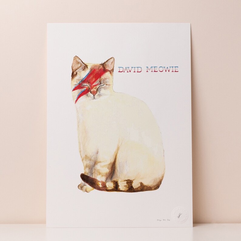 Op de afbeelding: Een witte kat met een rood en blauw bliksemontwerp over &eacute;&eacute;n oog. De kat zit met zijn ogen dicht. De tekst "DAVID MEOWIE" is boven de kat gedrukt.