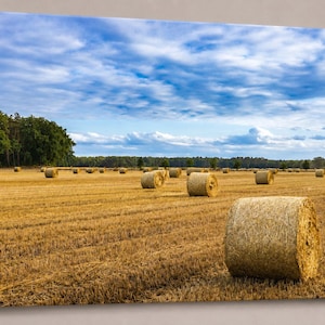 Könnte beinhalten: Leinwanddruck mit einer ländlichen Landschaft, die goldene Heuballen auf einem Feld unter einem blauen Himmel mit weißen Wolken zeigt. Bäume am Horizont verleihen der Szene Tiefe.