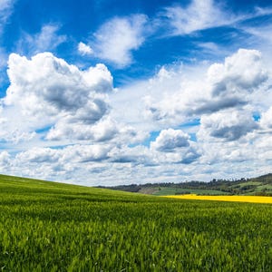 Könnte beinhalten: Eine sonnige Landschaft mit blauem Himmel und weißen Wolken. Ein üppiges grünes Feld erstreckt sich im Vordergrund, mit einem Hauch gelber Blumen in der Ferne, was auf einen sonnigen Tag hindeutet.