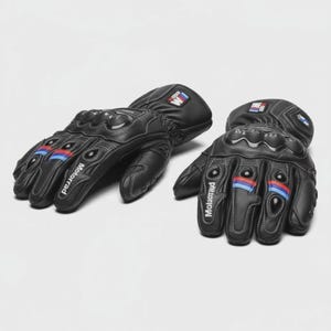 motorcycle gloves
racing gloves
leather bike gloves
sport bike gear
biker gloves
riding gloves
motorbike gear
racing accessories
bmw gloves
gift for him
gift for her
bmw motarad
BMW M1000RR