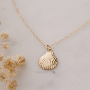 Seashell Charm Necklace, Dainty Clam Shell Necklace, Bridesmaid Necklace, Ocean Lover Gifts, Small Shell Necklace, Gold Shell,Beach Jewelry