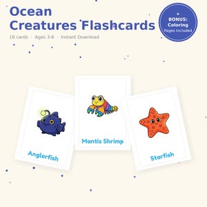 Ocean Flashcards Printable | Sea Creatures Flash Cards Toddler | Preschool Learning + Coloring