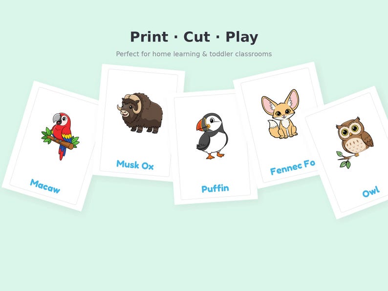 Wild Animals Flashcards Bundle Printable | 50 Cards Rainforest Arctic ...