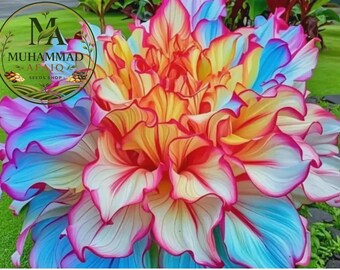 Hosta Seeds for Planting – Shade Loving Perennial Garden Ornamental Foliage Plants