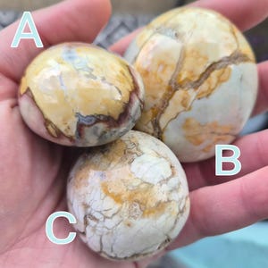 May include: Three polished, rounded stones labeled A, B, and C. Stone A is cream and tan with dark brown veins. Stone B is larger, featuring a cream base with prominent golden-brown crackled patterns. Stone C is white and tan with a webbed texture.