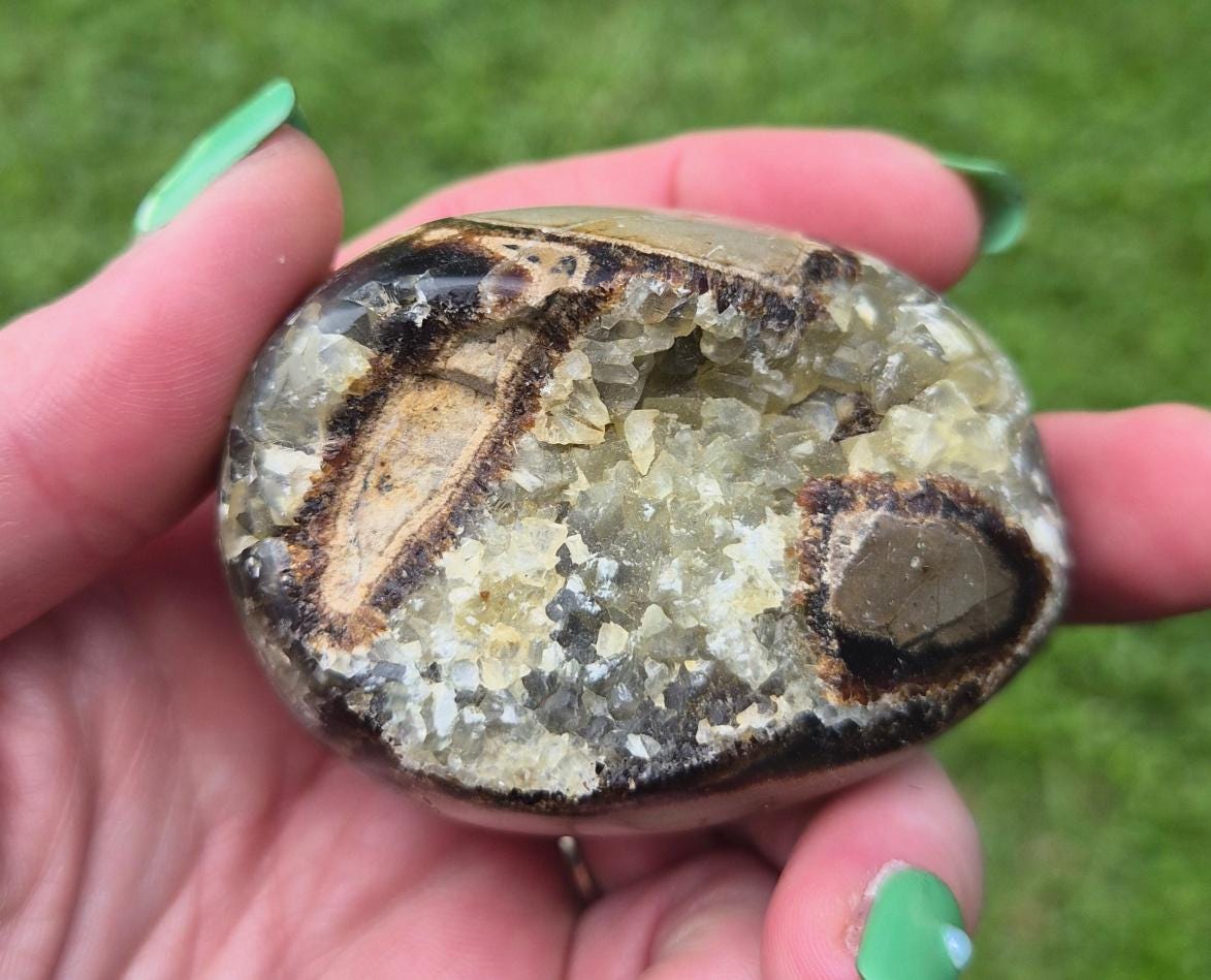 Septarian Stone - Etsy