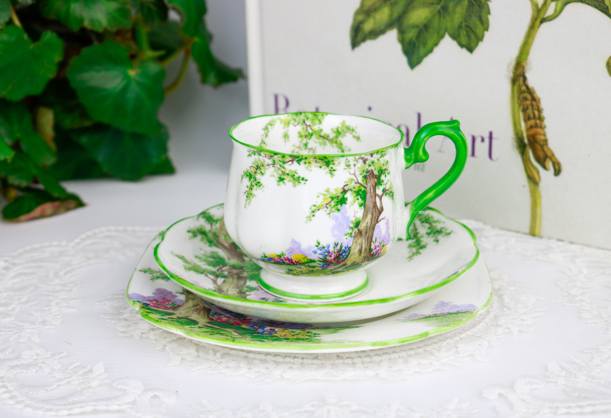 Royal Albert Crown China Greenwood Tree Trio, English Bone China