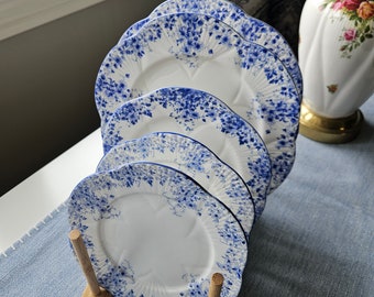 Set von 5 Shelley Zierliche Blaue Teller, Englische Porzellan Teller, Salat Teller, Beilagenteller, Vintage China