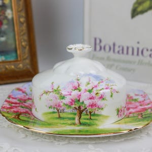 Royal Albert Blossom Time Butter Dish, English Bone China Tableware, Replacement China