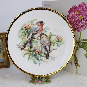 Decoratief bord Royal Vale met vogels en bloemen, decoratief bord Engels porselein, vintage woondecoratie, gesigneerd door de kunstenaar