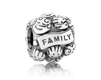 Charm de plata de ley 925 con dije familiar, charm de plata de ley para pulsera, apto para pulsera, joyería para mujer, regalo para ella.