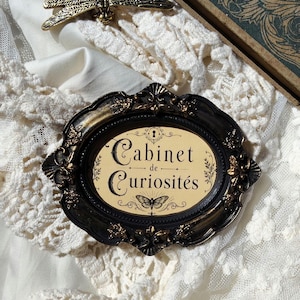 Décoration Murale Cabinet de Curiosités, Cadre Baroque Miniature, Objet de Curiosité, gothique wall art dark académia
