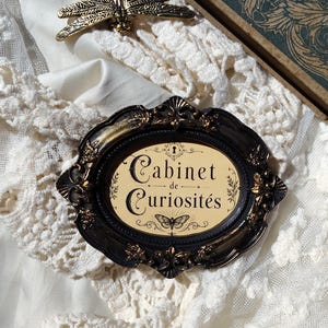 Rariteitenkabinet wanddecoratie, miniatuur baroklijst, curiositeitsobject, gotische donkere academische wanddecoratie