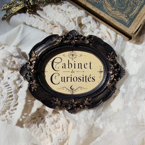 Peut inclure: Un cadre ovale noir avec des détails dorés et des ornements, contenant un insert couleur crème avec le texte "Cabinet de Curiosités" imprimé en noir, accompagné d'un symbole d'œil et d'un graphique de croissant de lune.