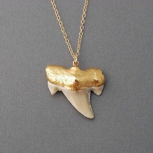 Gold Shark Tooth Necklace