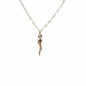 Gold Fill Italian Horn Necklace also in Silver