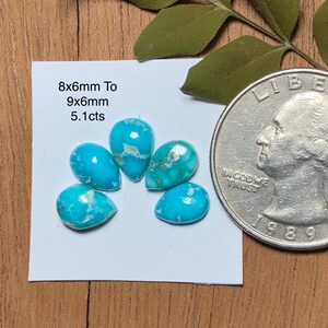 May include: Five pear-shaped turquoise gemstones with bright blue color and white matrix patterns. The stones range from 8x6mm to 9x6mm in size with a total weight of 5.1cts, displayed next to a United States quarter coin for scale.