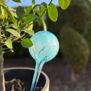 Glass Watering Bulb - Etsy