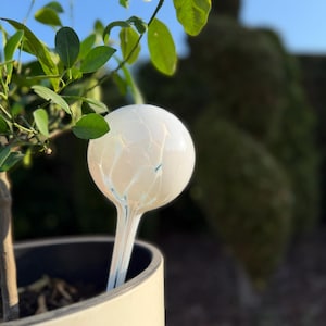 以下が含まれることがあります： ひび割れ模様と長い茎が付いた白いガラス製の植物水やりグローブ。ベージュのセラミックポットに挿入されています。青い空を背景に、緑の葉と枝が写っています。