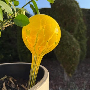 Peut inclure: Un globe d'arrosage pour plantes en verre jaune avec une surface texturée, inséré dans un pot beige. Le globe est rond avec un long col fin. Des feuilles et des branches vertes sont visibles en arrière-plan.