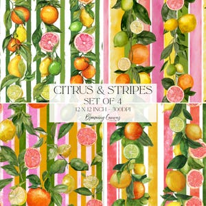Puede incluir: Un conjunto de cuatro patrones digitales con frutas cítricas en acuarela, incluyendo naranjas, limones y pomelos con hojas verdes sobre fondos a rayas. El texto dice CITRUS & STRIPES SET OF 4 12 X 12 INCH - 300DPI Blooming Canvas Studio.