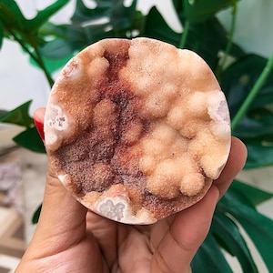 May include: A round, natural stone with a textured surface. The stone features a mix of colors, including light peach, dark red, and white. The stone is held in a hand, with green foliage in the background.