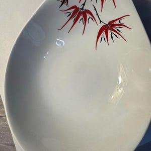May include: White, teardrop-shaped serving dish with a red and black floral design. The dish has a smooth, glossy surface and a shallow depth, suitable for serving appetizers or small dishes. The floral design is on the upper left side.