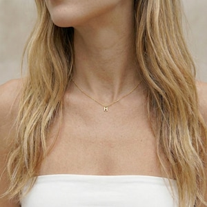 Peut inclure: Un délicat collier doré avec un petit pendentif en forme de lettre "H". Le collier est porté autour du cou. L'arrière-plan est flou, attirant l'attention sur le bijou.