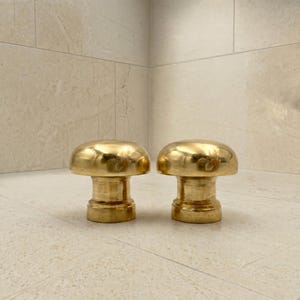 May include: Two mushroom-shaped cabinet knobs. The knobs are made of polished brass, with a rounded top and a cylindrical base. The knobs are displayed on a light-colored surface.