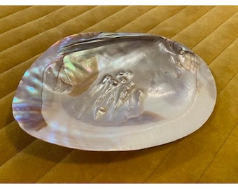 Large Iridescent Mother of Pearl Shell Bowl Blister Pearls Decorative Catchall