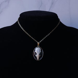 Colgante de calavera / Colgante de hueso / Joyería de hueso / Colgante gótico / Joyería de rareza / Colgante de bruja