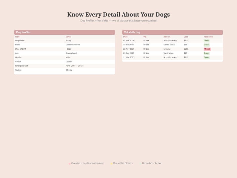 Puede incluir: Un documento digital titulado "Conoce cada detalle sobre tus perros" con dos tablas. La primera tabla es un perfil de perro con campos como nombre, raza y peso. La segunda tabla es un registro de visitas al veterinario con fechas, motivos y costos.