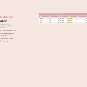 Puede incluir: Panel digital con el t&iacute;tulo "Your Dashboard at a Glance" sobre un fondo rosa claro. Muestra datos de salud canina, incluyendo edad, pr&oacute;xima visita al veterinario y peso en kilogramos. Las caracter&iacute;sticas incluyen edad calculada autom&aacute;ticamente y vacunas vencidas.