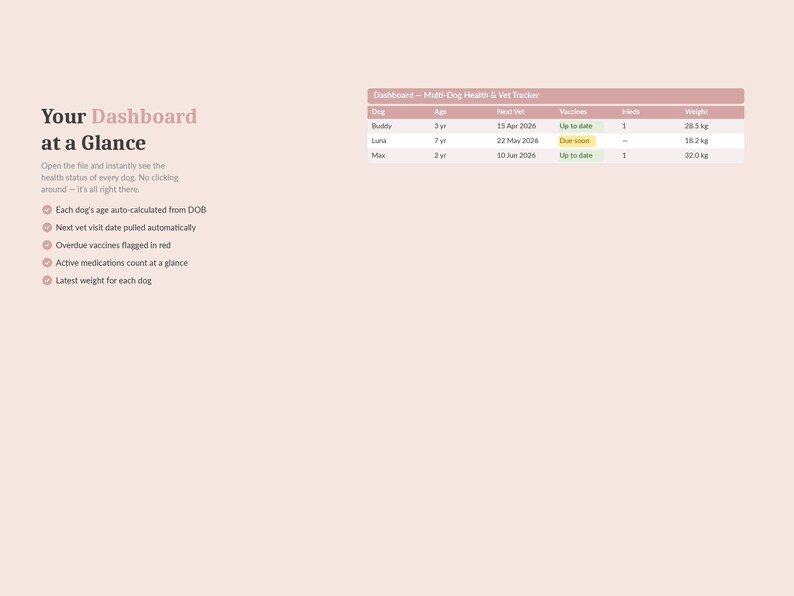 Puede incluir: Panel digital con el t&iacute;tulo "Your Dashboard at a Glance" sobre un fondo rosa claro. Muestra datos de salud canina, incluyendo edad, pr&oacute;xima visita al veterinario y peso en kilogramos. Las caracter&iacute;sticas incluyen edad calculada autom&aacute;ticamente y vacunas vencidas.