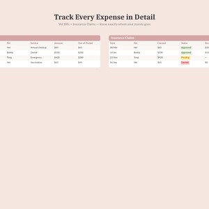 May include: A digital financial planning document with the title "Track Every Expense in Detail." The document includes tables detailing vet bills and insurance claims, with columns for dates, pet names, services, amounts, and statuses.