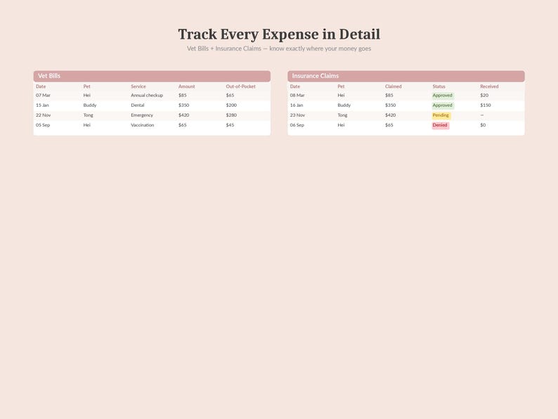 May include: A digital financial planning document with the title "Track Every Expense in Detail." The document includes tables detailing vet bills and insurance claims, with columns for dates, pet names, services, amounts, and statuses.
