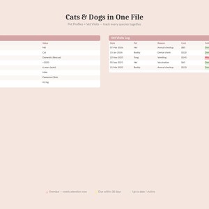 May include: A digital document titled "Cats & Dogs in One File" with pet profiles and vet visit logs. The document includes tables with fields like pet name, breed, and weight (4.8 kg). The vet visit log shows dates, pets, reasons, costs, and follow-up statuses.