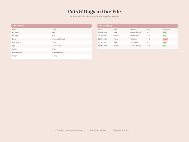 May include: A digital document titled "Cats & Dogs in One File" with pet profiles and vet visit logs. The document includes tables with fields like pet name, breed, and weight (4.8 kg). The vet visit log shows dates, pets, reasons, costs, and follow-up statuses.