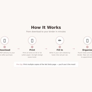 May include: A light pink graphic with the title "How It Works" and four steps: Download, Print, Fill In, and Organize. The text explains the process of downloading, printing, filling in details, and organizing pages in a binder.