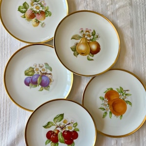 Hutschenreuther Plate - Etsy