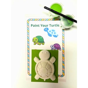 Turtle Plaster DIY Paint Kit