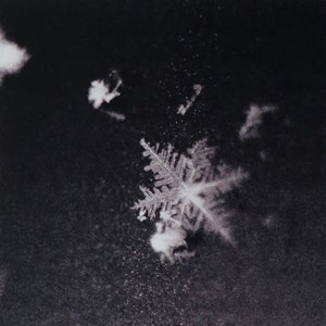 Snowflake 4 X 6 greeting card Christmas card  ice crystal  close up macro -photography shot w/ Vintage Exakta Varex w/ bellow extension
