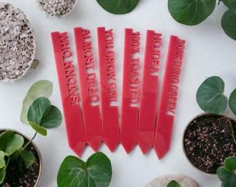 Humorous Plant stakes - Snarky Funny Plant Markers - Adult Suitable