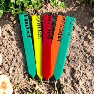 May include: Colorful garden markers with the names of vegetables: Lettuce, Squash, Tomato, Carrots, and Beans. The markers are green, yellow, red, orange, and green. The markers are in the soil near some vegetables.