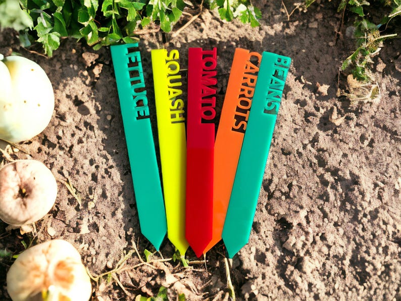 May include: Colorful garden markers with the names of vegetables: Lettuce, Squash, Tomato, Carrots, and Beans. The markers are green, yellow, red, orange, and green. The markers are in the soil near some vegetables.