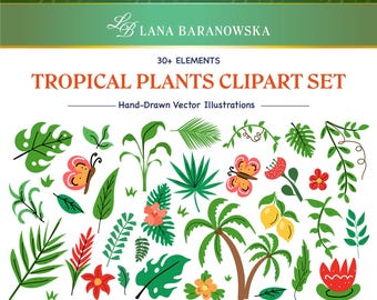 Set tropische planten, handgetekende vectorafbeeldingen (PNG, SVG, EPS).