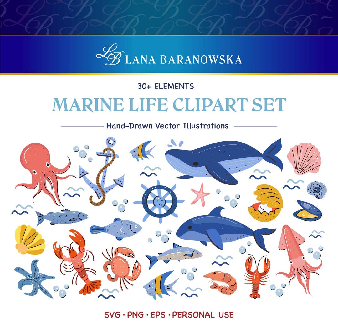 Marine Life Hand Drawn Vector PNG SVG EPS - Etsy