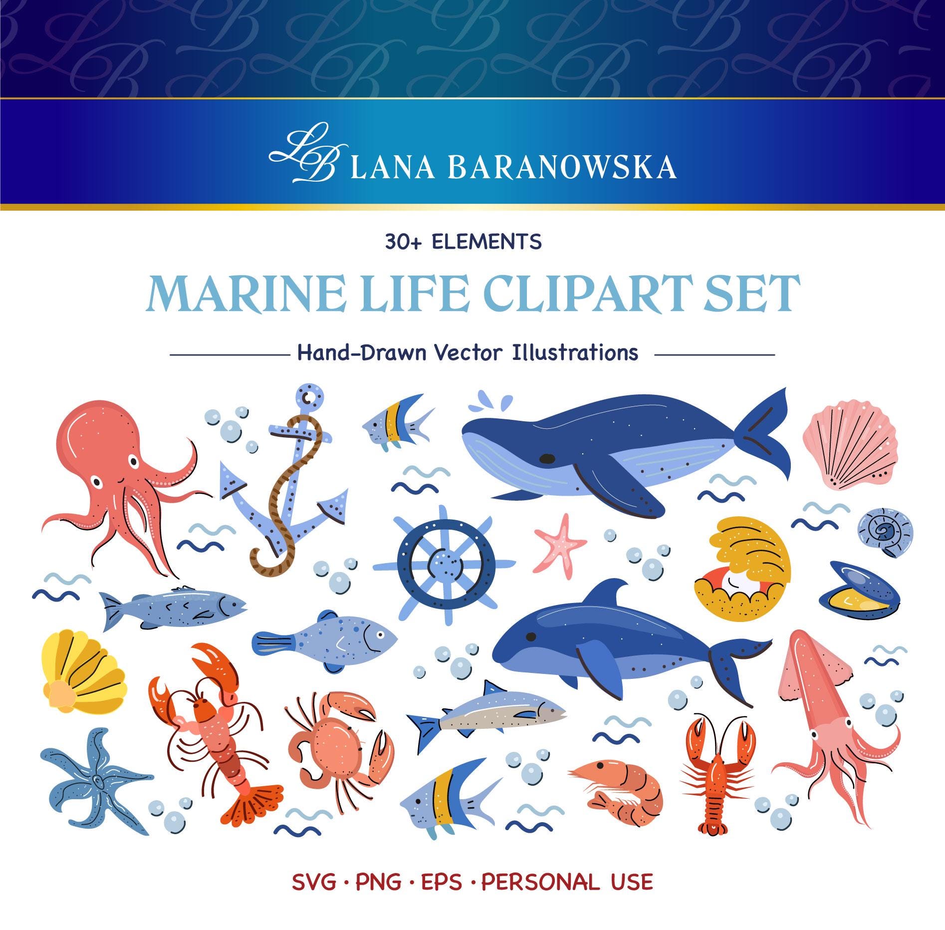 Marine Life Hand Drawn Vector PNG SVG EPS - Etsy