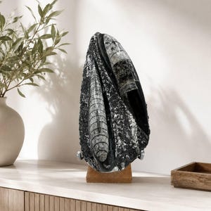May include: A vertical decorative display featuring two fossilized orthoceras specimens embedded within a dark, textured matrix. The fossils exhibit distinct segmented chambers in shades of grey and black, mounted on a small wooden base.